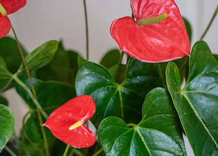 Le Rochelois Сasa de vacaciones